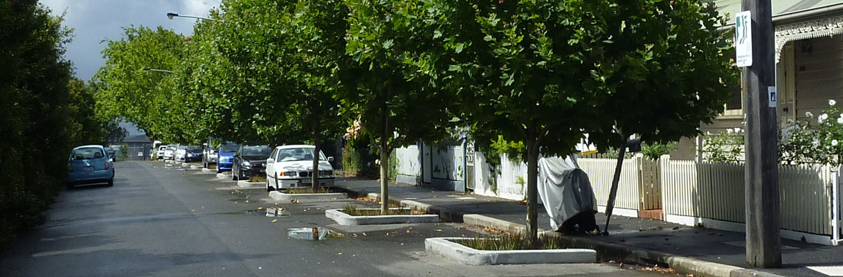 Bellair Street, Kensington Raingarden tree pits