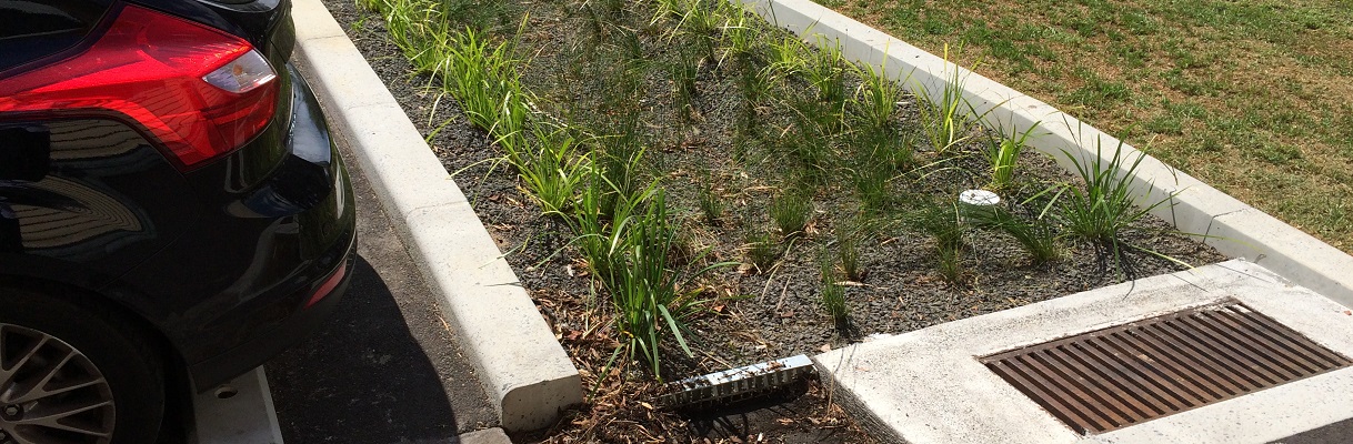 Raingarden, Hardiman Street, Kensington